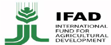 IFAD@2x